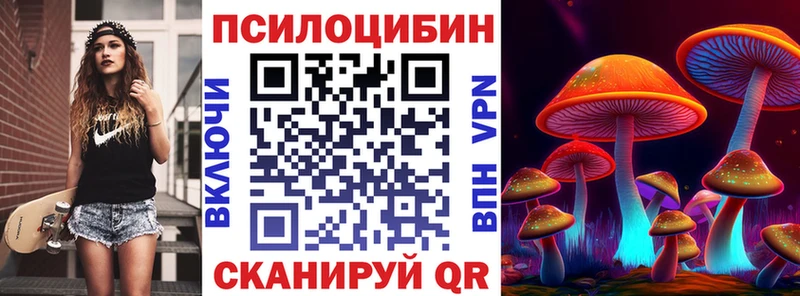 Галлюциногенные грибы Cubensis  blacksprut как зайти  Всеволожск 